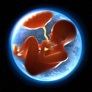 5 Things You Never Knew Your Baby Would Learn In The Womb